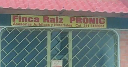 FINCA RAIZ PRONIC FINCA RAIZ PRONIC